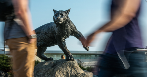 Wildcat statue 